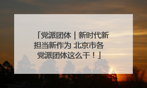 党派团体｜新时代新担当新作为 北京市各党派团体这么干！